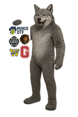 Upload Your Gang Sheet 22.5" Wide
